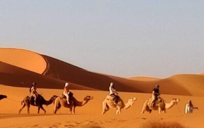 10 Days Morocco Camel Trekking