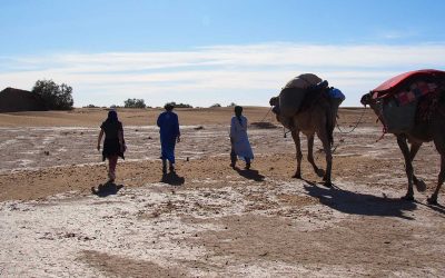 Désert Marocain : Vivez L’aventure Nomade en dromadaire