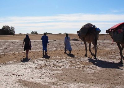 Désert Marocain : Vivez L’aventure Nomade en dromadaire