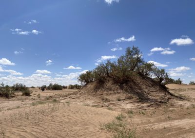 Desert tour to Erg Chegag, Zagora